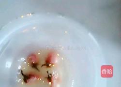 日式樱花奶冻的做法图解12