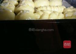 奶香小面包的做法图解7
