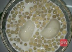 牛奶西米露的做法图解5