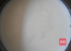 菊花酸奶！的做法图解2