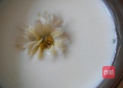 菊花酸奶！的做法图解4