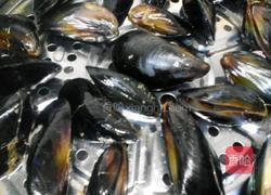 清蒸青口贝的做法图解4