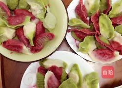 彩色饺子的做法图解6
