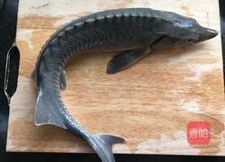 红烧鲟鱼的做法图解1