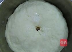 奶香豆沙包的做法图解5