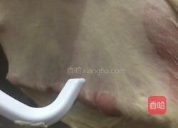 时尚妈妈教你做香葱芝士面包的做法图解5