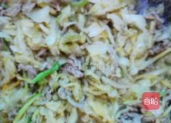 渍菜粉(东北特色菜)的做法图解4