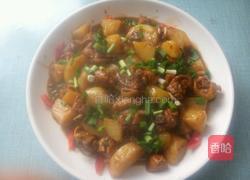 家常土豆炖鸡块的做法图解4