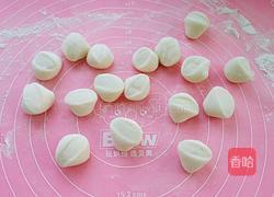 开口烧麦——香菇胡萝卜鲜肉馅的做法图解10