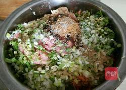 萝卜大葱猪肉水饺的做法图解13