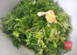 鱼丸茴香汤的做法图解9