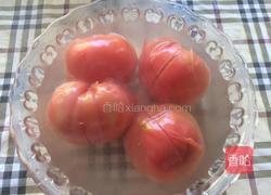 牛肉炖西红柿的做法图解4