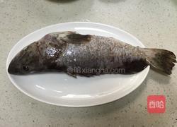 清蒸石斑鱼的做法图解1