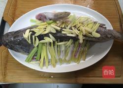 清蒸石斑鱼的做法图解6