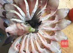 孔雀开屏鱼的做法图解3
