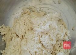 白菜素包子的做法图解1