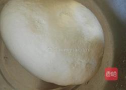 白菜素包子的做法图解2