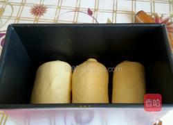 淡奶油全麦吐司的做法图解17