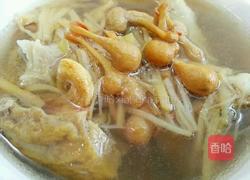 虫草花元贝汤的做法图解7