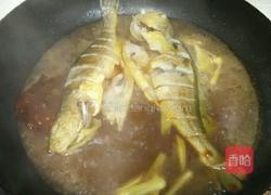 烧黄瓜鱼的做法图解4