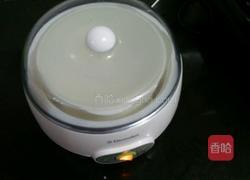 蜂蜜苹果酸奶的做法图解2