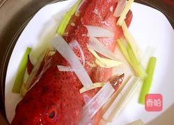 清蒸东星斑的做法图解3