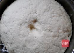 枣花馍馍的做法图解2