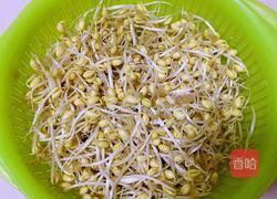 拌豆芽的做法图解1
