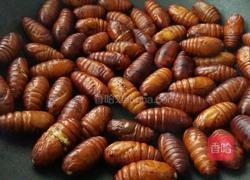 炒茧蛹的做法图解1