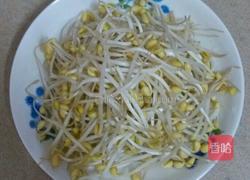 豆芽肉末汤的做法图解1