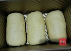 葡萄干土司的做法图解8