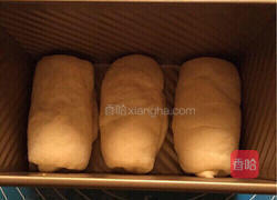 牛奶土司的做法图解12