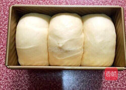 牛奶土司的做法图解13