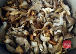 家常炒蘑菇的做法图解4