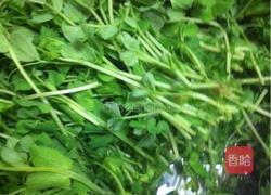 鸡丝豌豆苗的做法图解2