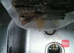 清蒸鲩鱼尾的做法图解5