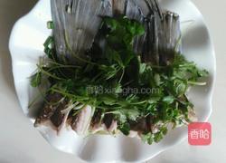 清蒸鲩鱼尾的做法图解6