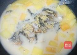 木瓜鱼汤的做法图解5