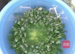 蒜茸炒塔菜的做法图解2