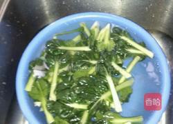 蒜茸炒塔菜的做法图解3