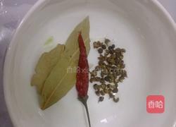 西红柿炖牛腩的做法图解2