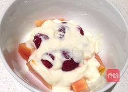 水果酸奶的做法图解4