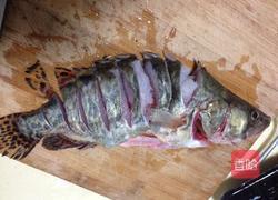 清蒸桂鱼的做法图解1