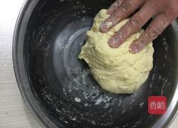 蒸营养馒头的做法图解4