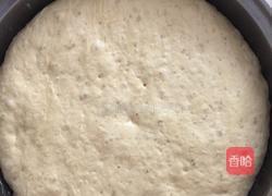 蒸营养馒头的做法图解6