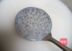 西米露的做法图解3