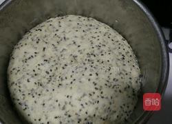 芝麻馒头的做法图解4
