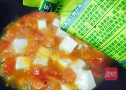 番茄豆腐的做法图解14