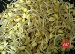 豆芽粉丝的做法图解3