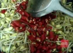 豆芽粉丝的做法图解4
